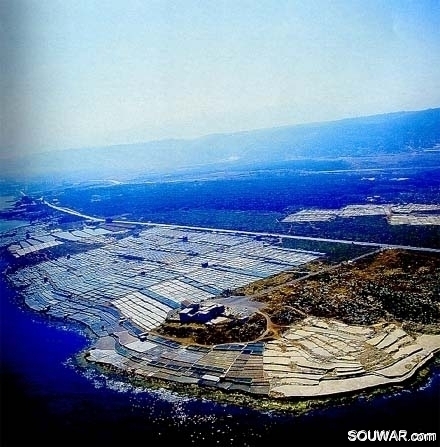 Salt Of Ehden