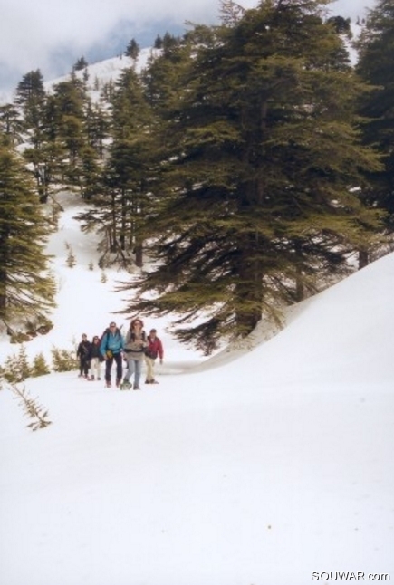 Snowshoeing in barouk