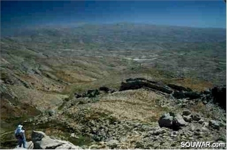 Tannourine