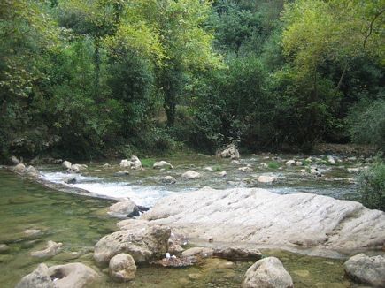 Trip to Ehden and Naher Brahim