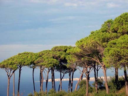 Al Meena View from Balamand Tripoli