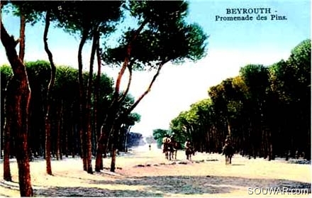 1920-Beyrouth-promenade-des-pins