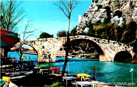 1960-Beyrouth-fleuve-du-chien