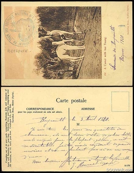 Lebanon French Military Postcard 1920 - Camel
