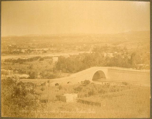 Old Pictures of Lebanon