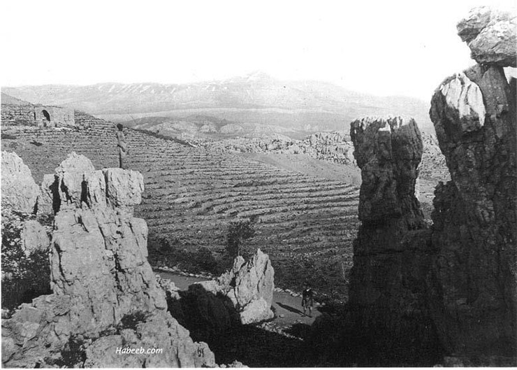 Old Pictures of Lebanon