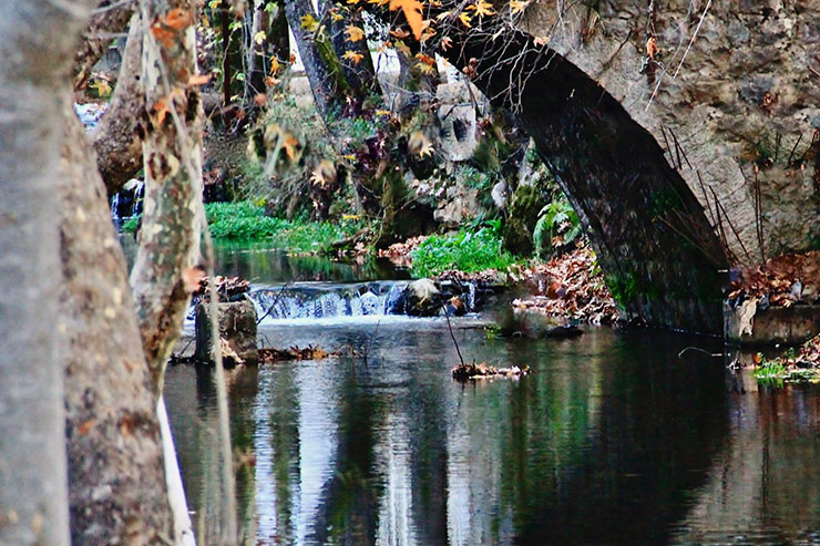 Lebanon Nature