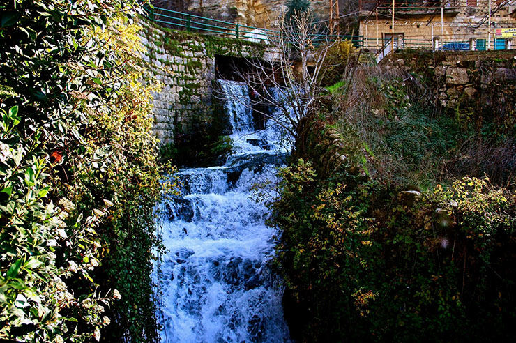 Lebanon Nature