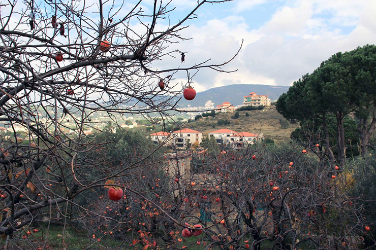 Lebanon