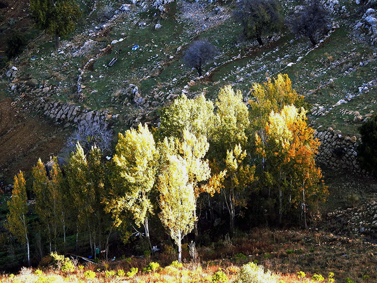 Lebanon