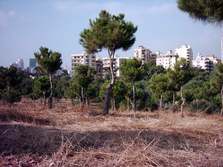 Horsh Beirut
