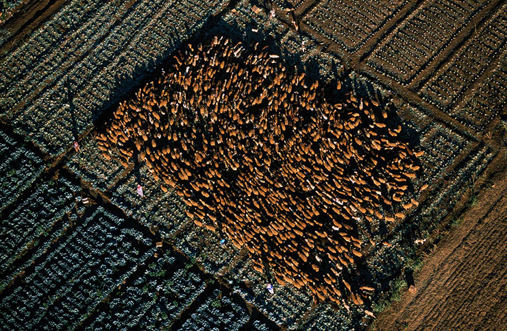 Lebanon From The Sky