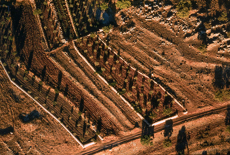 Lebanon From The Sky