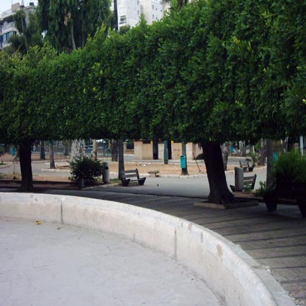 Sanaya3 Garden