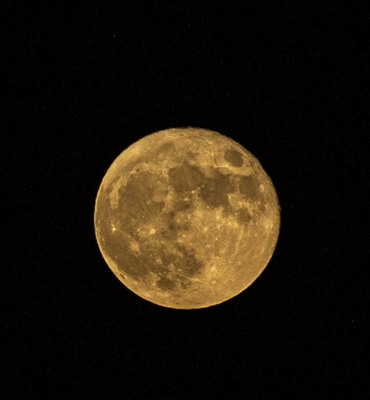 Moon