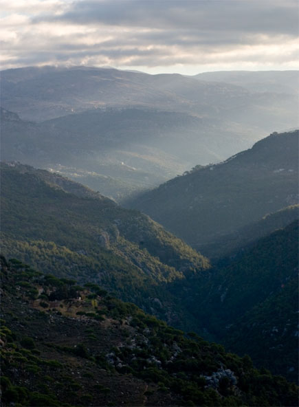 Kfardebian