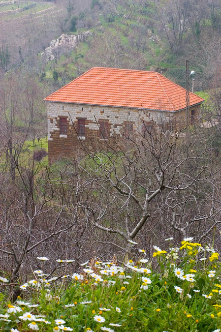 Mount Lebanon