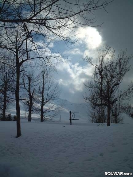 Faraya