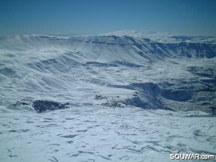 Faraya