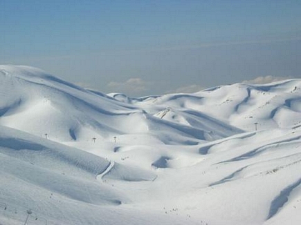 Faraya