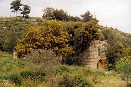 Batroun