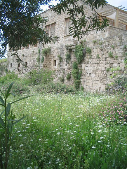 Byblos