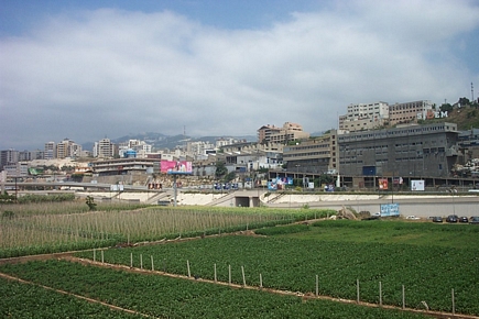 Jounieh