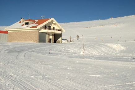 Faraya