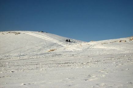 Faraya