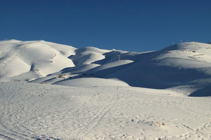 Faraya