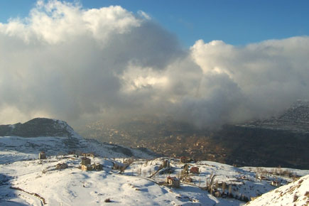 Faraya