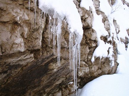 Faraya