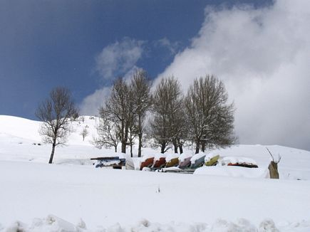 Faraya