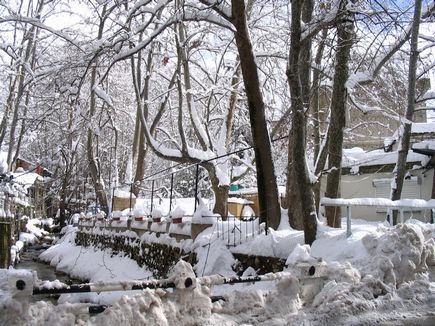 Faraya