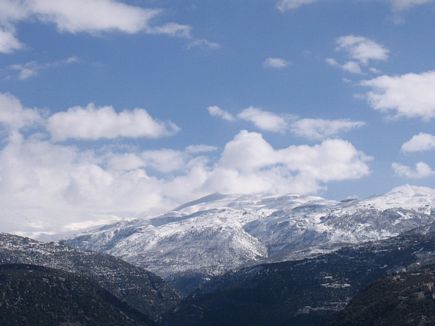 Faraya