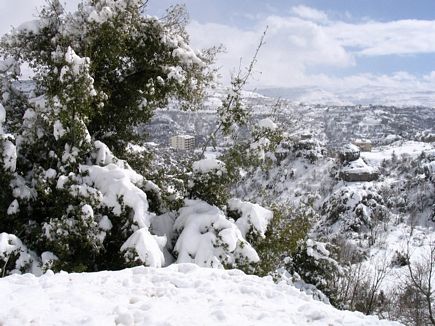 Faraya