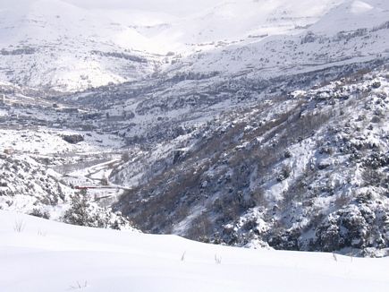 Faraya