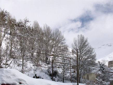 Faraya