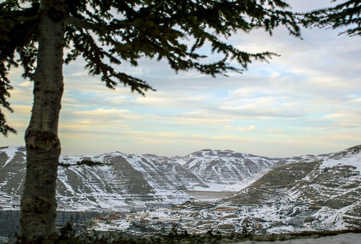 Faraya