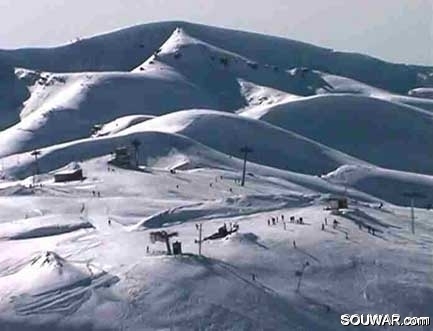 Faraya