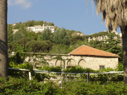 Hammana