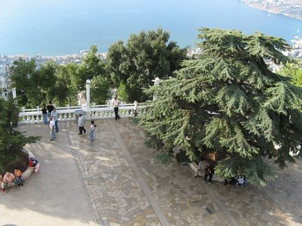 View from Harissa