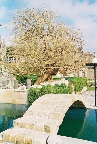 Jbeil - Byblos