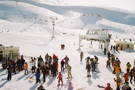 Faraya