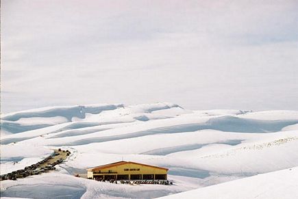 Faraya