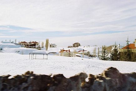 Faraya