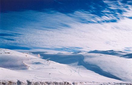 Faraya