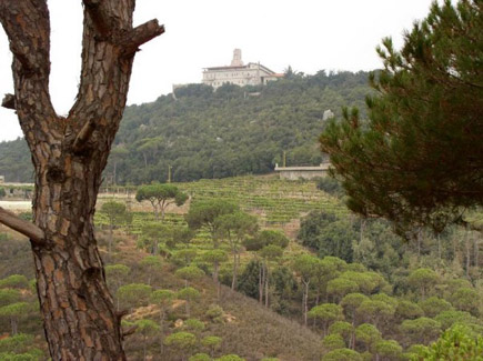 Mar Chaaya Monastery