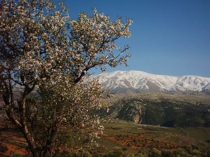 Mount Hermon