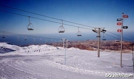 Faraya